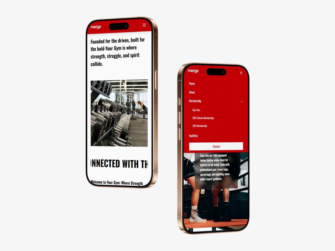 Professional Gym Website Template