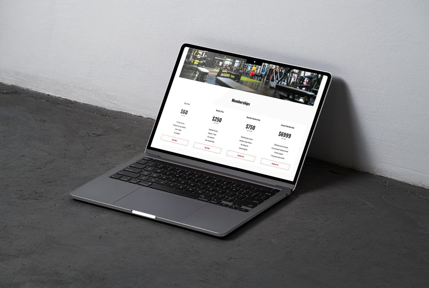 Professional Gym Website Template